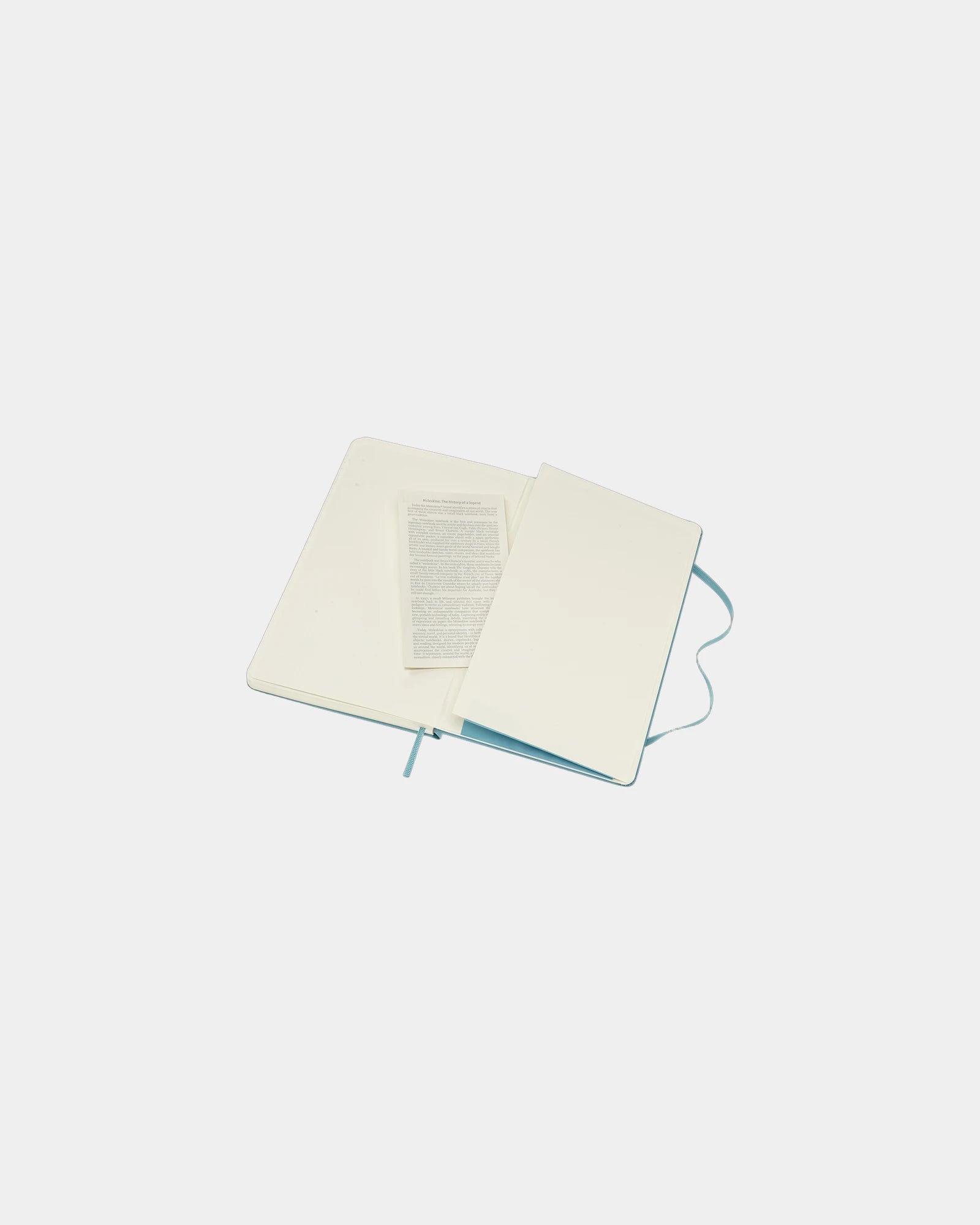 Carnet Moleskine Classic L à personnaliser - 20