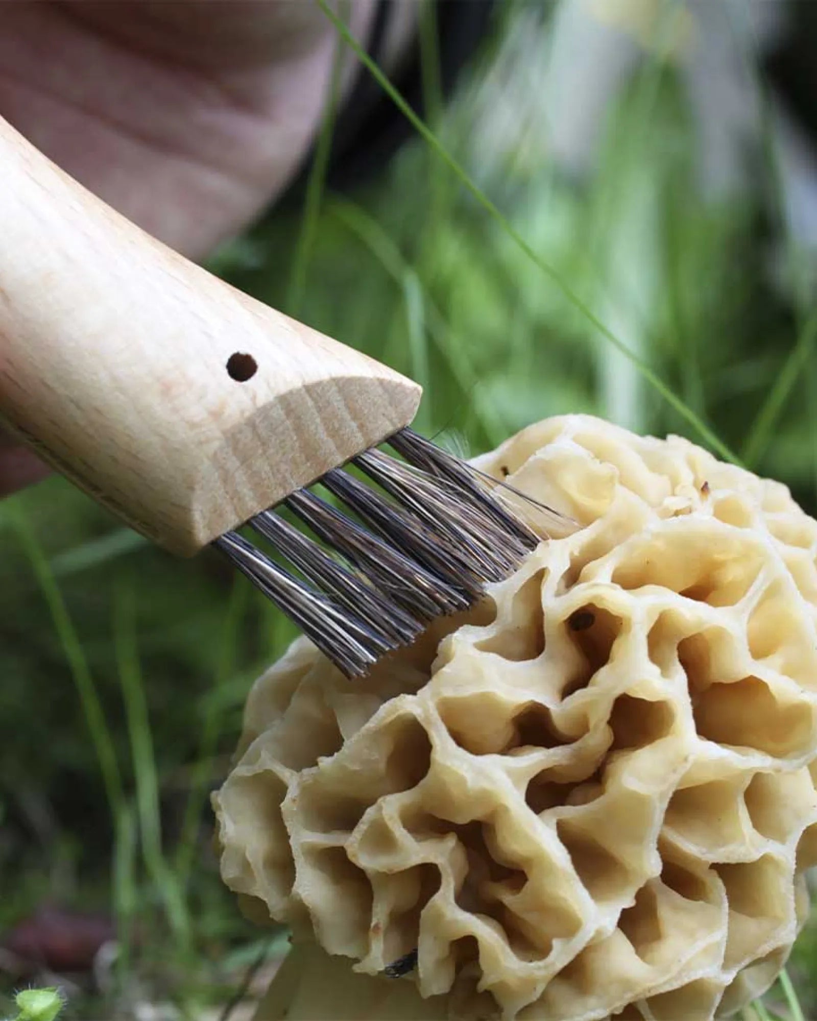 Couteau à champignon acier inoxydable Opinel N°08 à personnaliser - 5