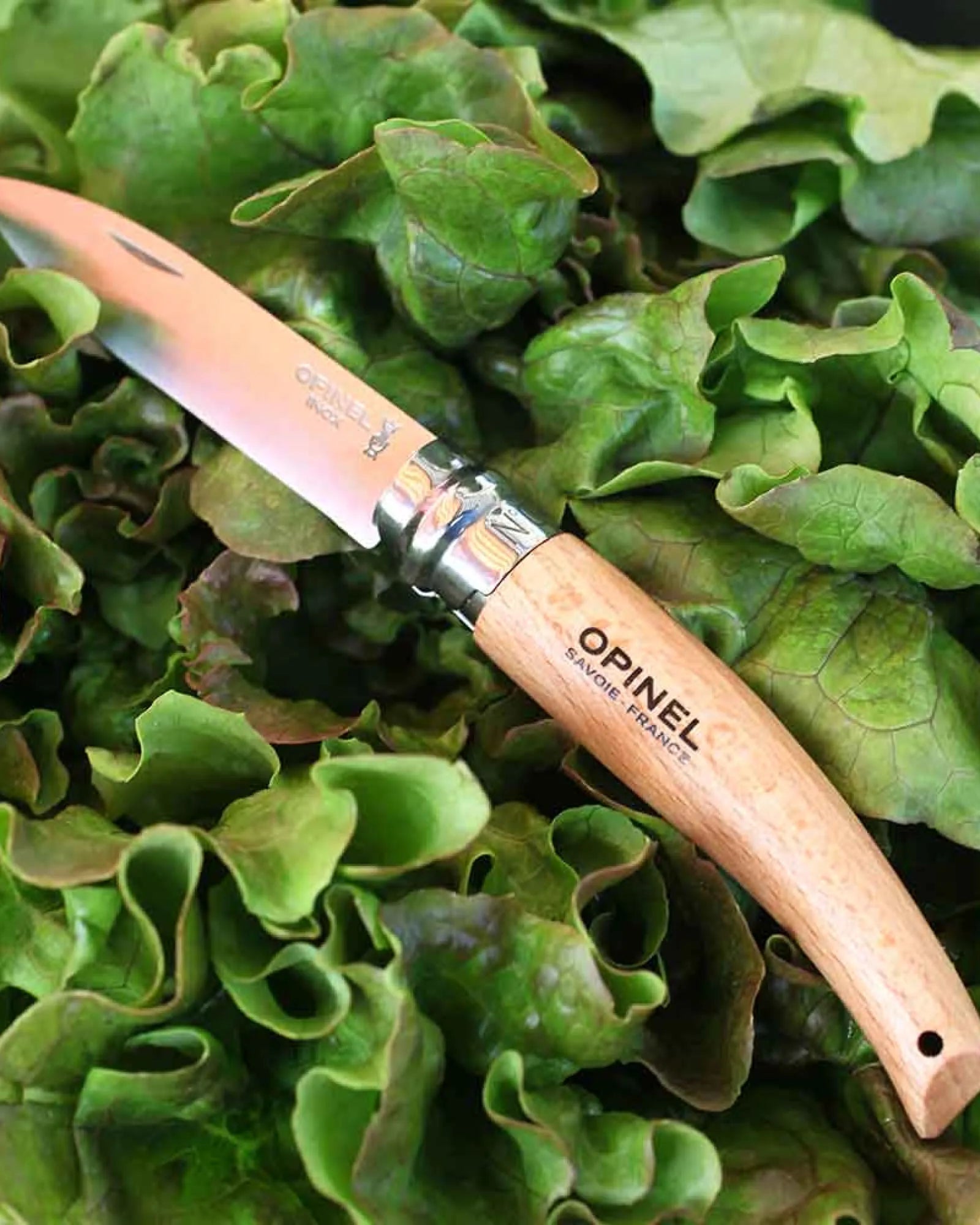 Outil de jardin acier inoxydable Opinel N°08 à personnaliser - 5