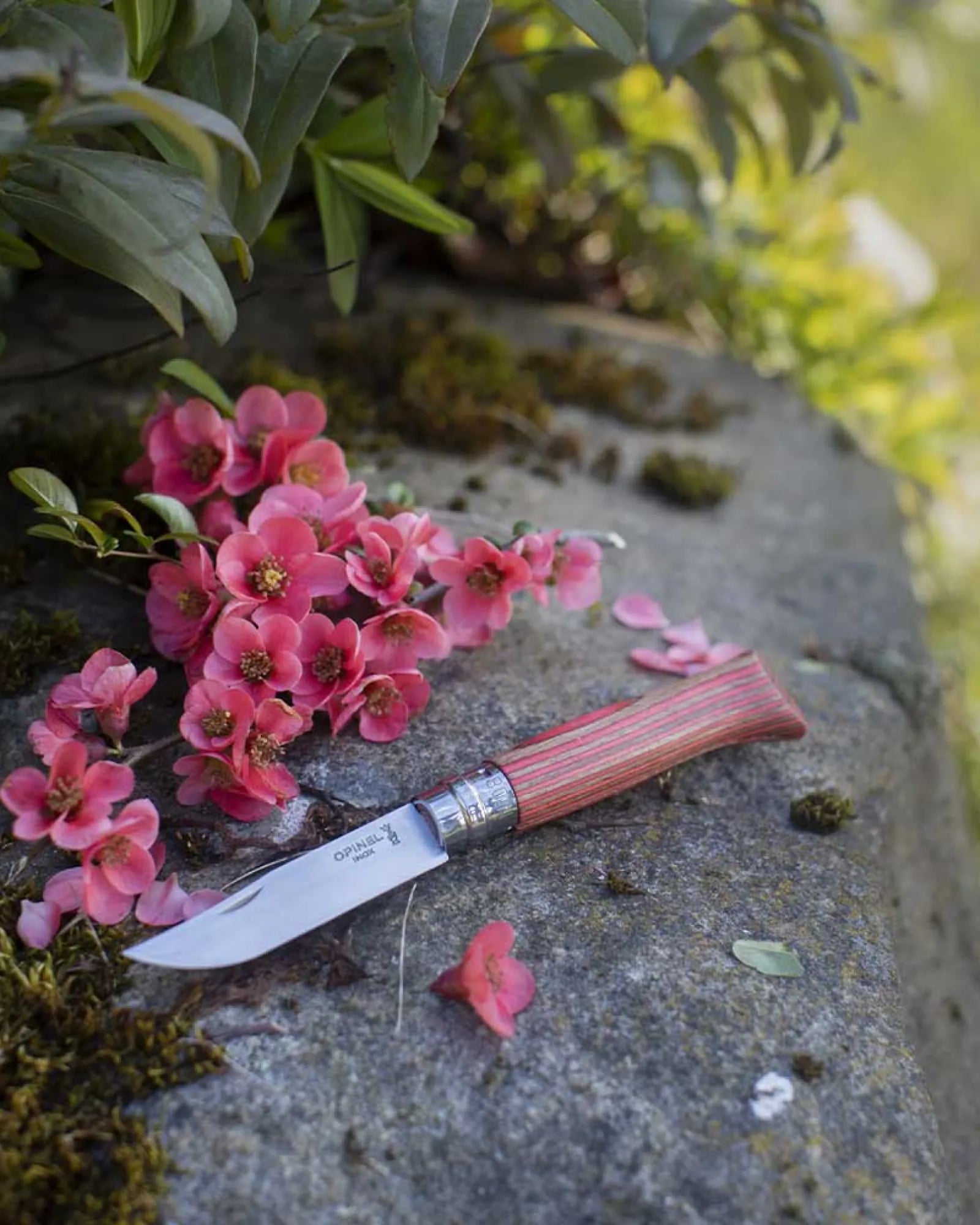Couteau acier au carbone Opinel N°02 Carbone à personnaliser - 15