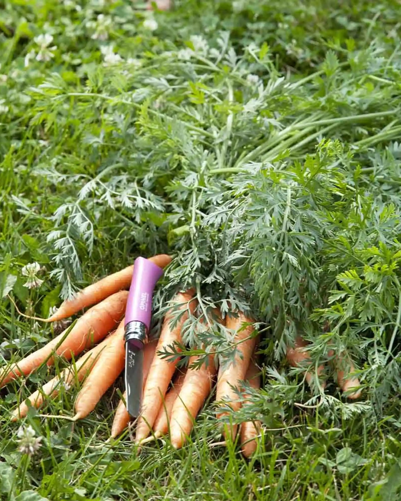 Couteau acier inoxydable Opinel Mon Premier à personnaliser - 13