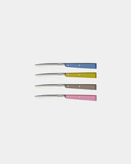 Coffret de 4 couteaux de table Opinel N°125 à personnaliser - 1