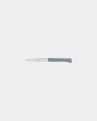 Coffret de 4 couteaux de table Opinel Bon Appétit + à personnaliser - 2
