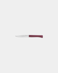 Coffret de 4 couteaux de table Opinel Bon Appétit + à personnaliser - 1