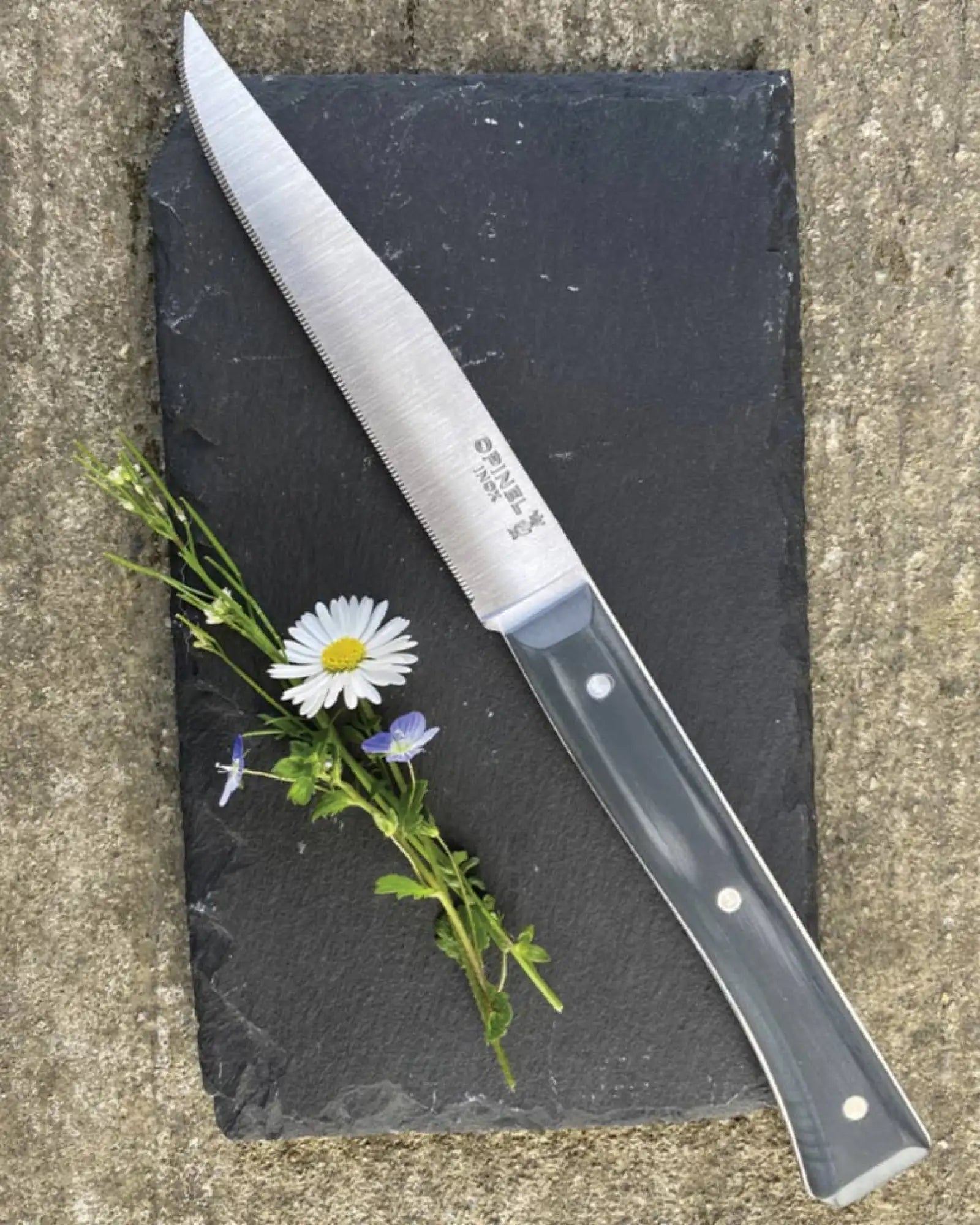 Coffret de 4 couteaux de table Facette Frêne Opinel à personnaliser - 20