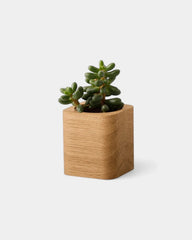 pot-cubique-en-bois-a-personnaliser23