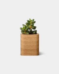 pot-cubique-en-bois-a-personnaliser12