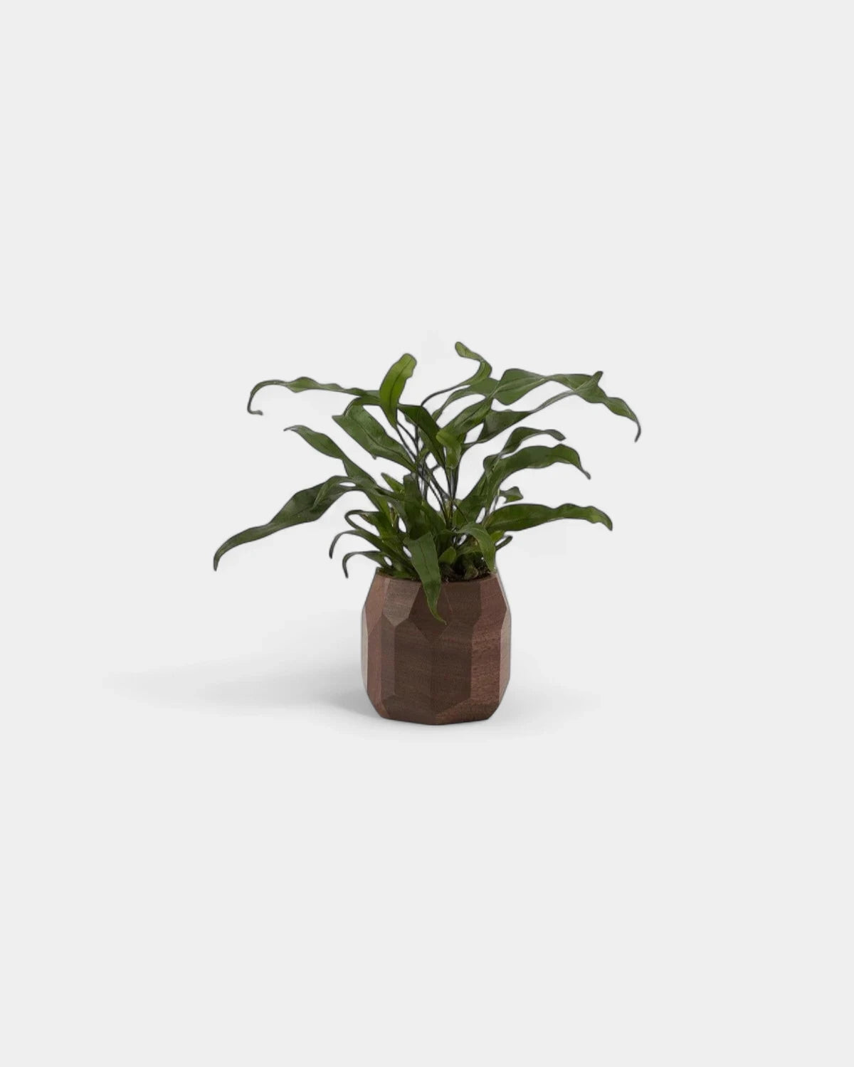 pot-a-crayon-geometrique-en-bois-noyer-personnalisable-14