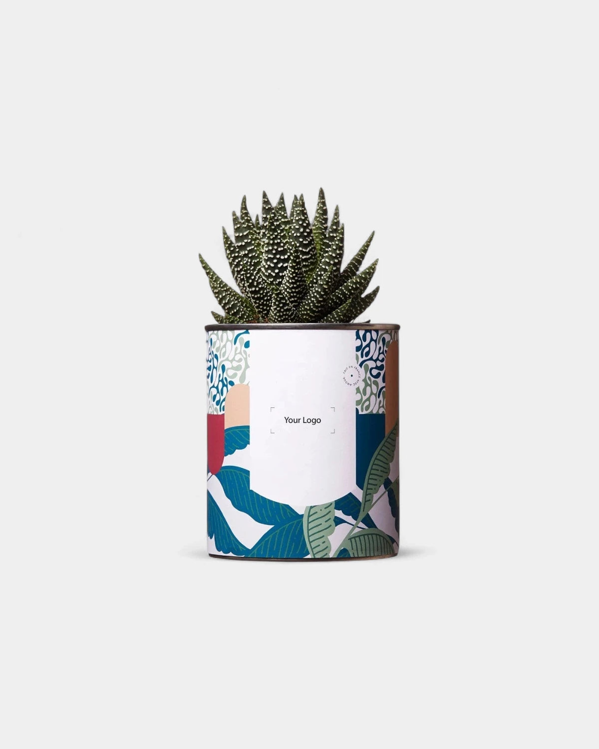 Cactus 100% personnalisable Diaiwaie - 1