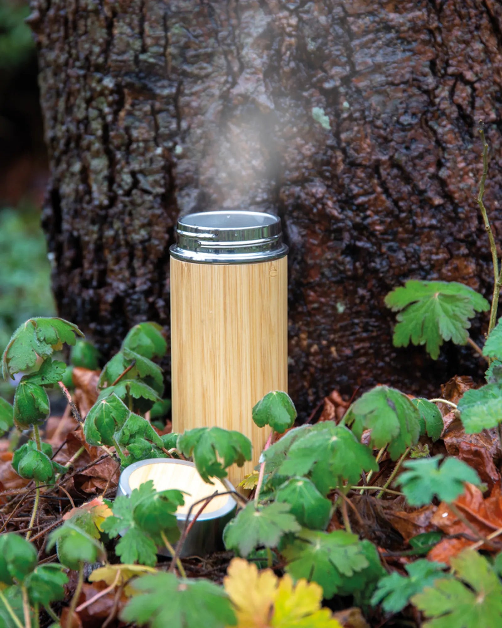 Bouteille isotherme bambou 300ml à personnaliser - 6