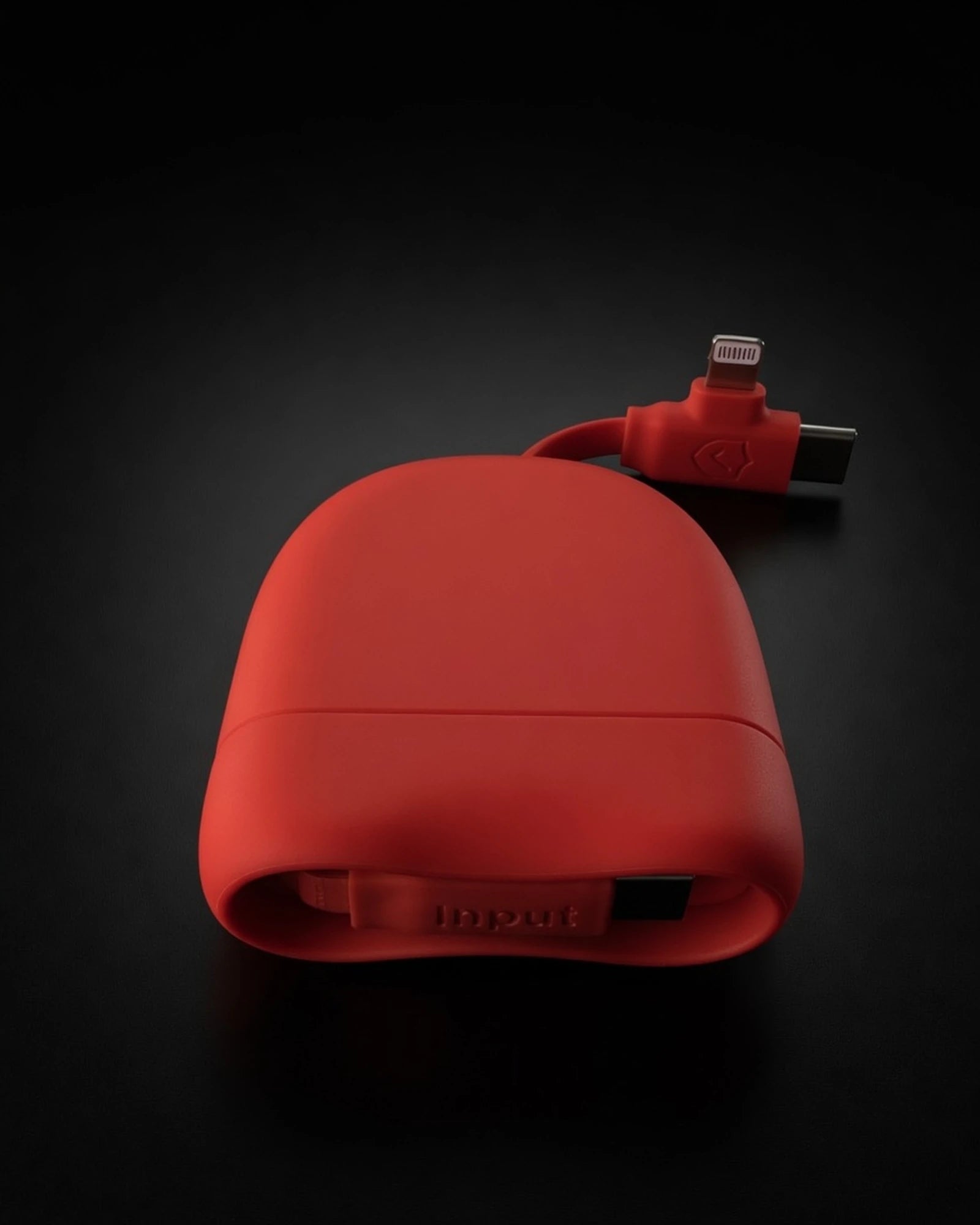 Câble de charge USB-C et Lightning à personnaliser - 6