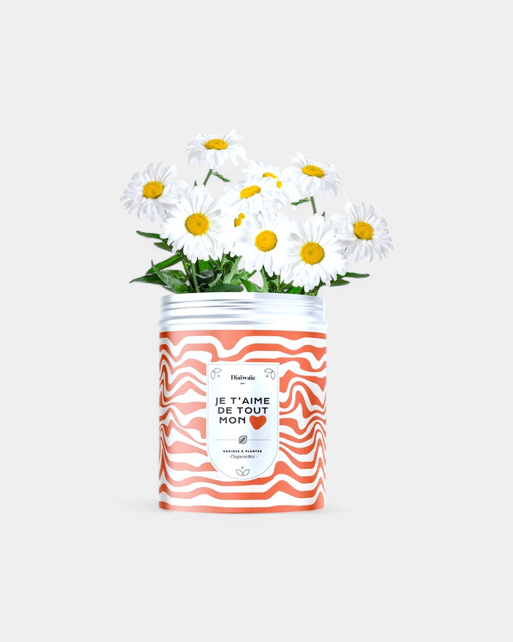 Kits de graines à planter personnalisable - 5